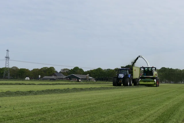 Het eerste gras van 2022 is gehakseld in Wezuperbrug