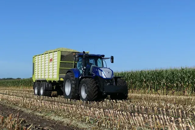 De eerste maïs van 2021 zit in de bult.