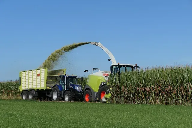 De eerste maïs van 2021 zit in de bult.